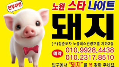 노원스타나이트 3월 14일 오픈 기대하셔도 좋습니다.