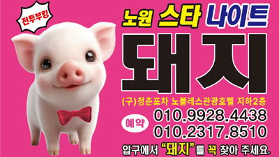 ❤️노원❤️스타나이트❤️WT.돼지